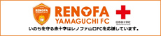 小7_RENOFA　YAMAGUCHI FCの画像