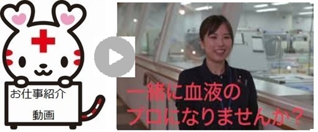 お仕事紹介動画