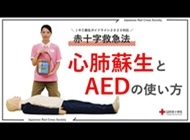 一次救命処置（BLS） ～心肺蘇生とAED～の画像