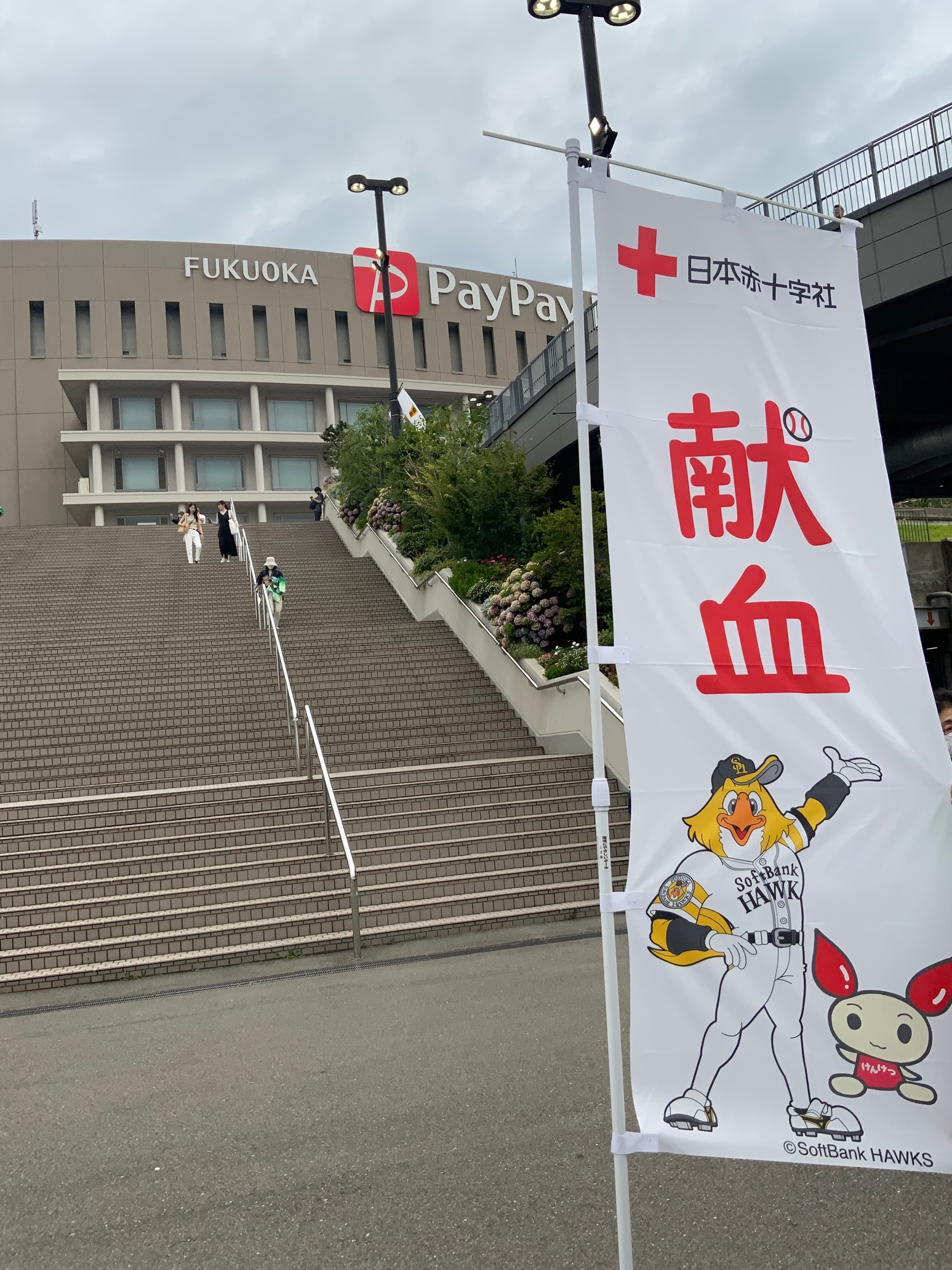 献血ルームでの予約のお願いについて 新着ニュース プレスリリース イベント 福岡県赤十字血液センター 日本赤十字社 献血ルームでの予約のお願いについて 新着ニュース プレスリリース イベント 福岡県赤十字血液センター 日本赤十字社