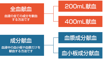 はじめての献血