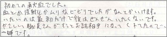 初めての献血でした。血とか注射とかむりなビビリでしたがなんとかいけます。いたいのは最初だけで後はぜんぜんいたくないです。やさしい職員さんがずっとお話相手になってくれたので、一瞬です。