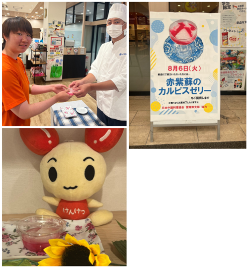 __________2024-08-08_145704.png