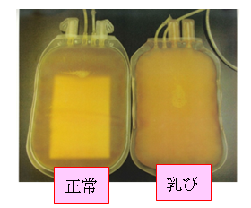 05223キャプチャ.PNG