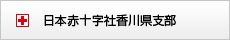 小3_日本赤十字社香川県支部の画像