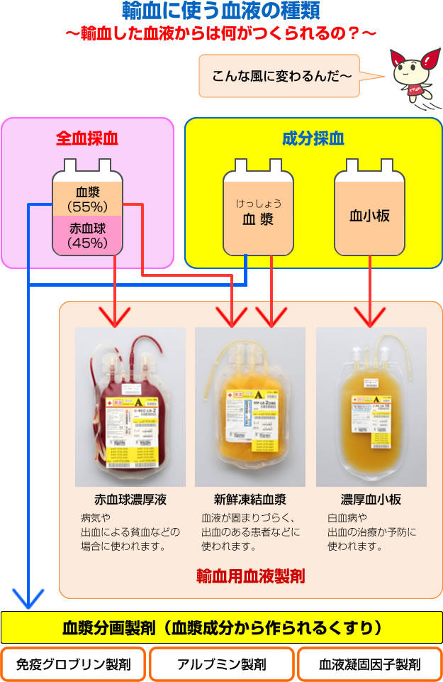 輸血に使う血液の種類