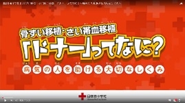 【日本赤十字社】骨ずい移植・さい帯血移植「ドナー」ってなに？の画像