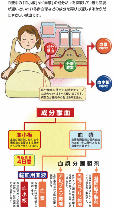 HLA適合血小板献血要請のしくみ