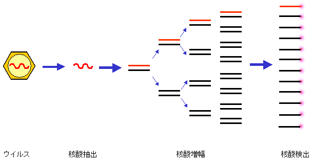 NATの基本原理