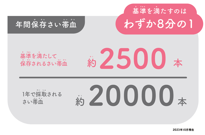 基準を満たして保存されるさい帯血　わずか８分の１