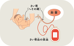 採取の画像