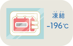 保存の画像