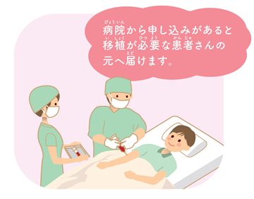 病院から申し込みがあると移植が必要な患者さんの元へ届けます。