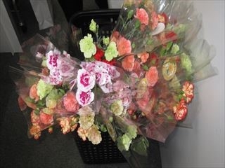 2020051006.jpg