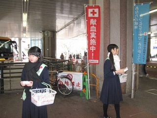 甲南女子中高等学校