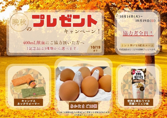 _mint_20251014-19.jpg