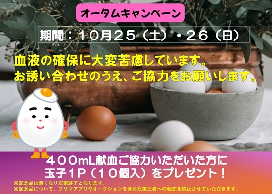 _nishikita_20251025-26.jpg
