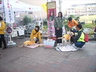 神戸ウエストライオンズクラブ様