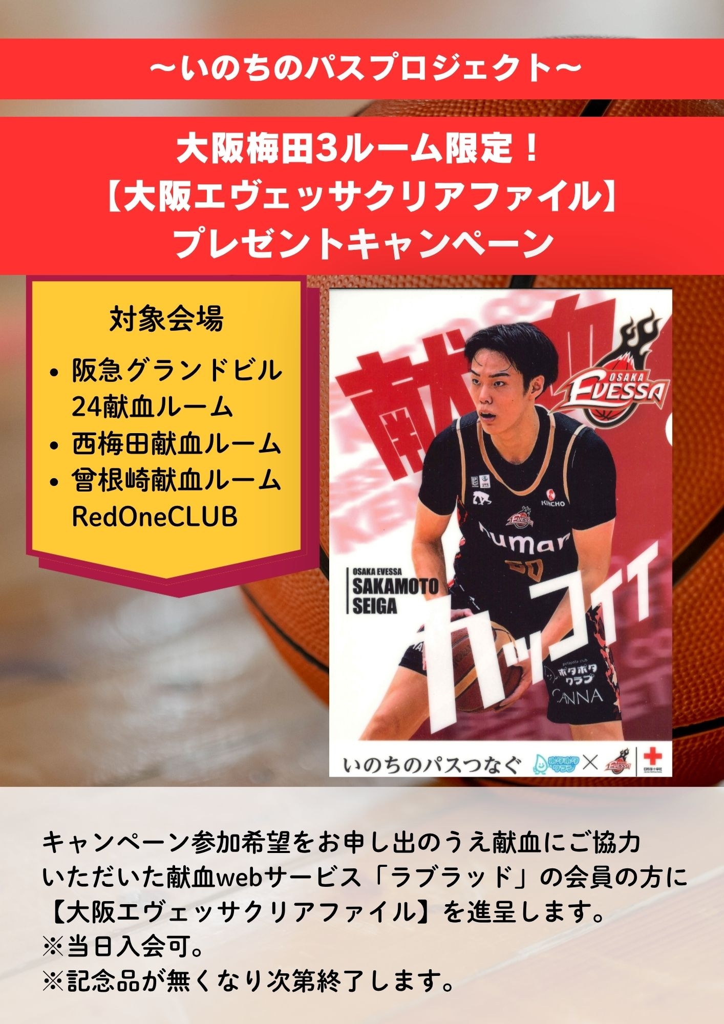 エヴェッサクリアファイル