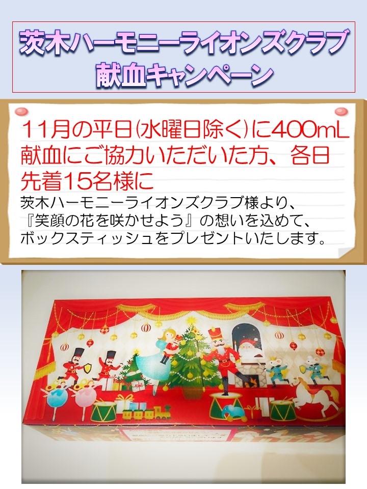 茨城LCティッシュ