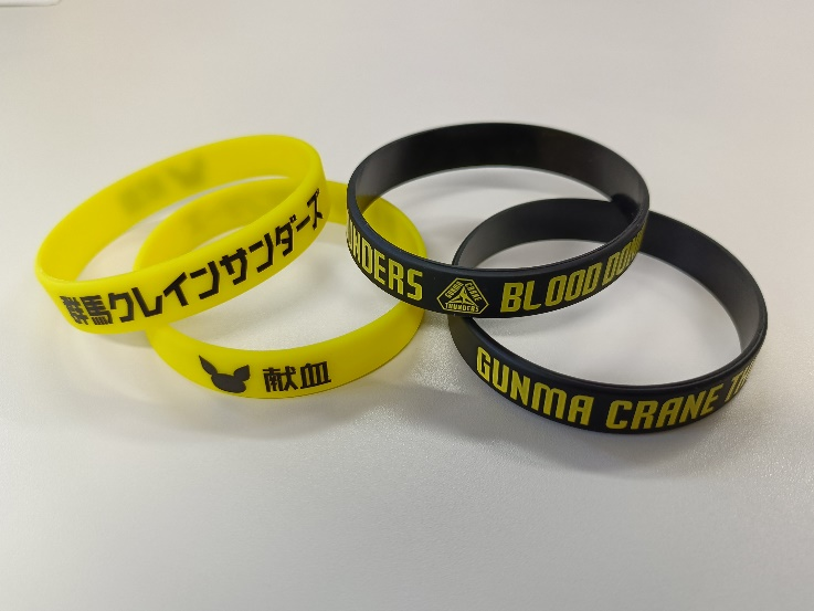 2025-2026 SANDERS LISTBAND.png