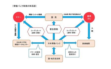 体系図