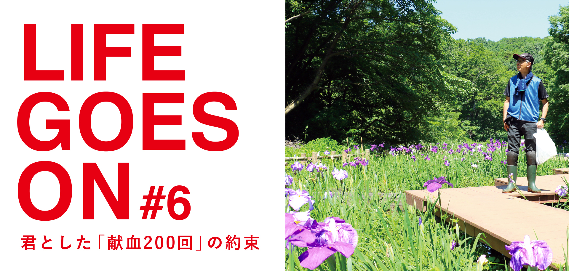 小1_LIFE GOES ON #６　君とした「献血200回」の約束の画像