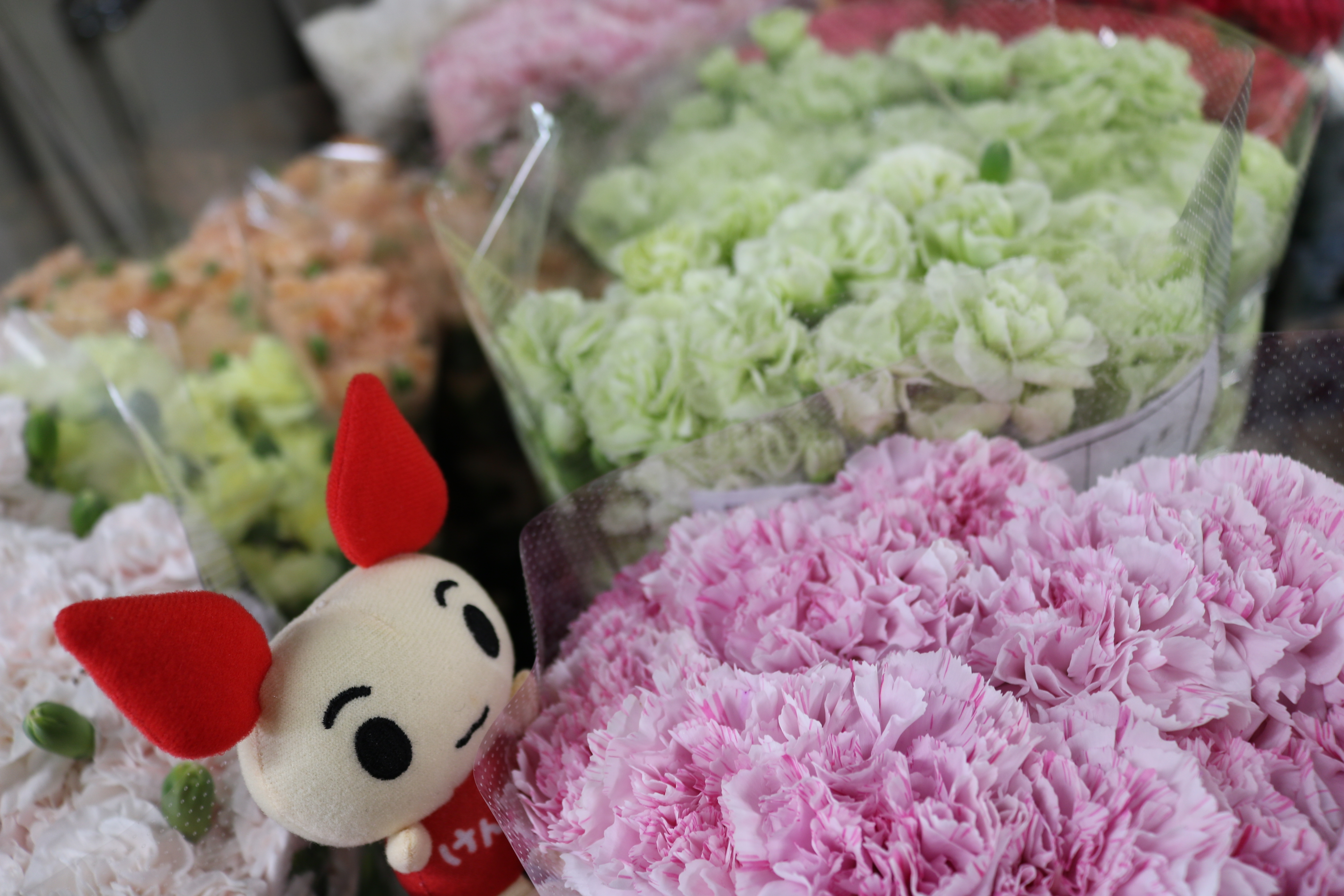 jigyou-20260428-1.jpg