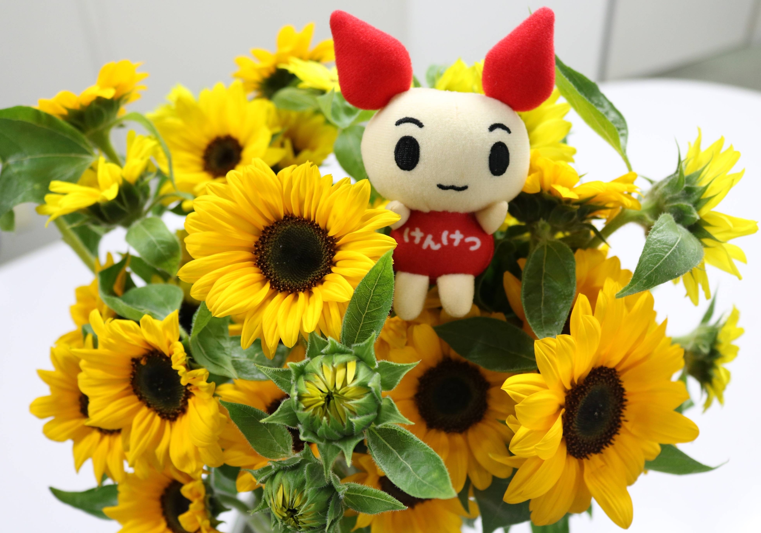 jigyou-20250617-1.jpg