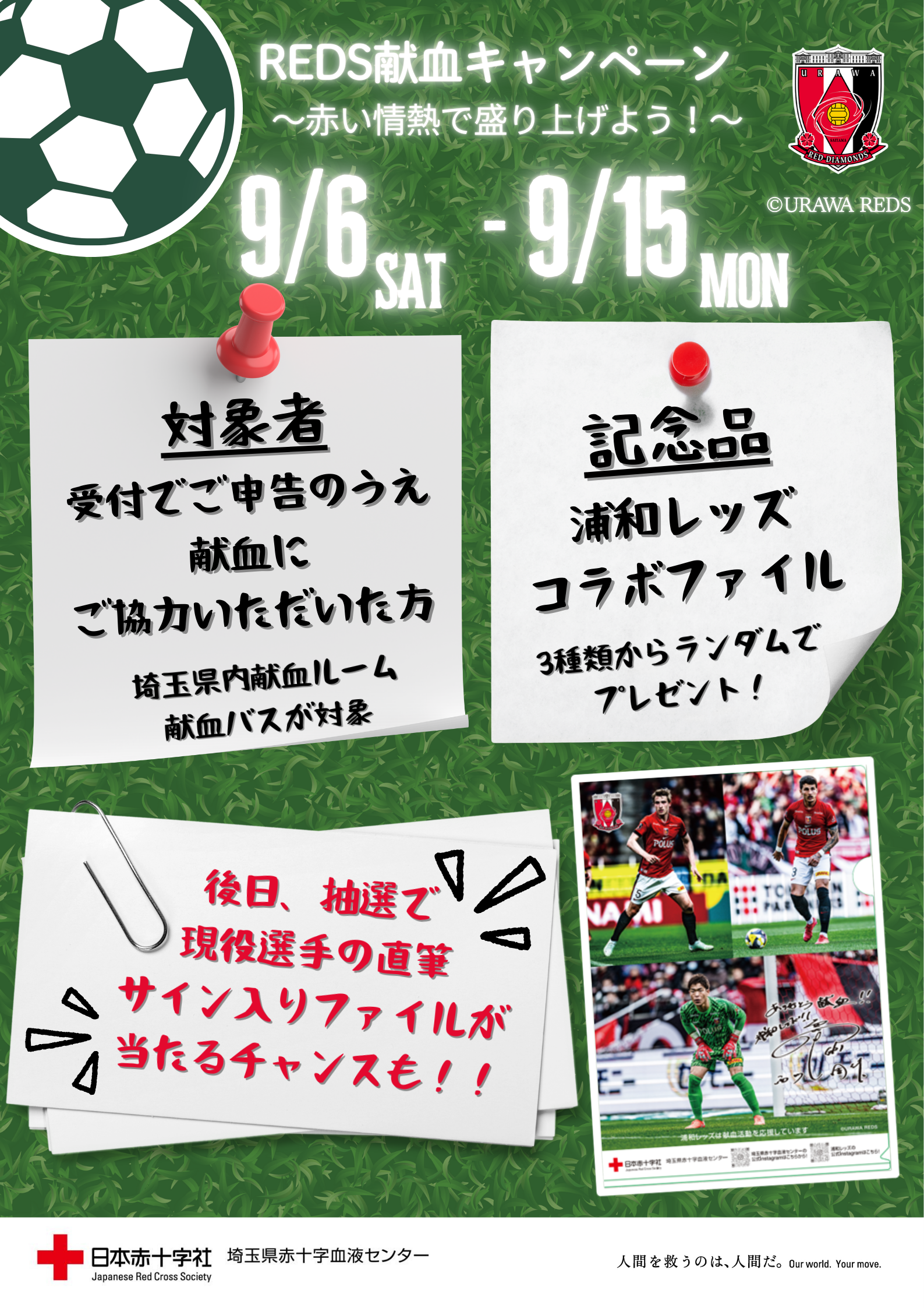 reds__________(1).png