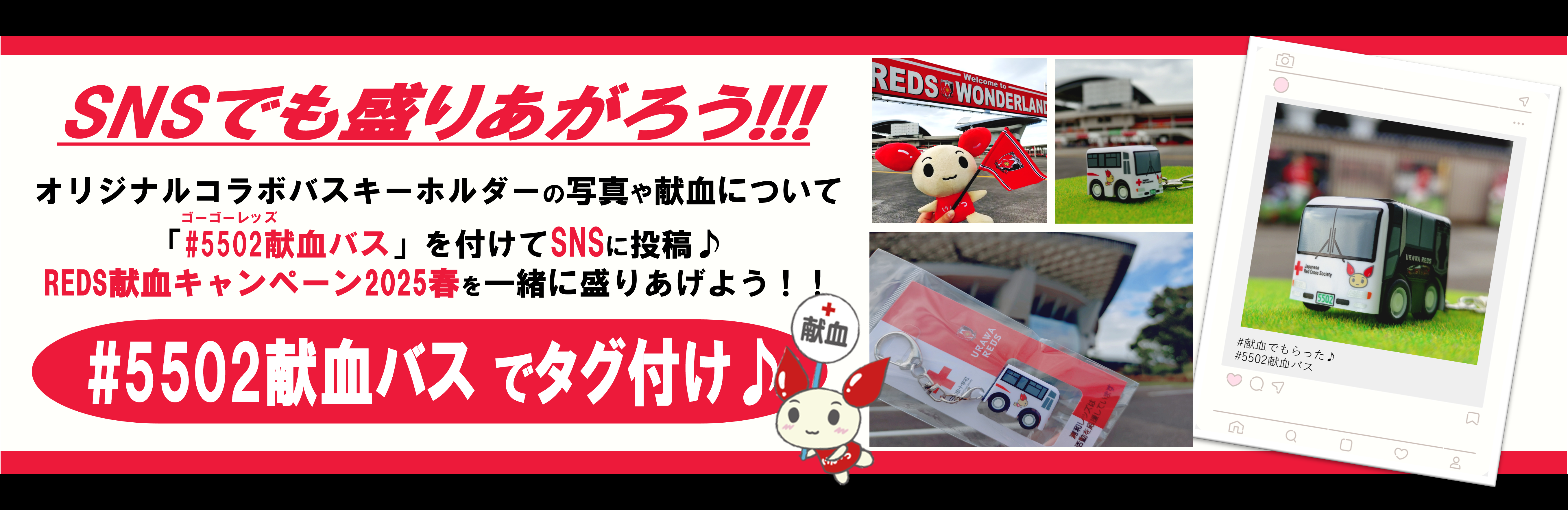 redssns.png