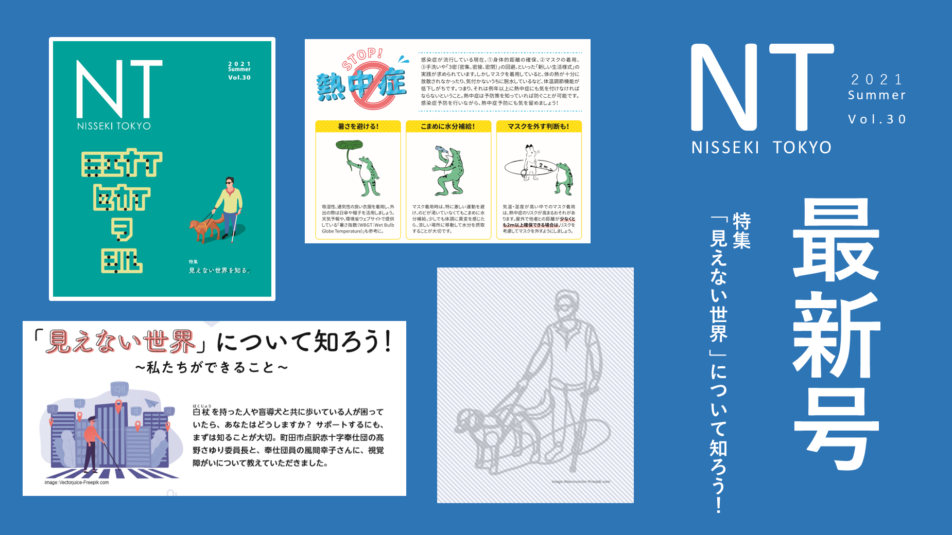 nt30.png