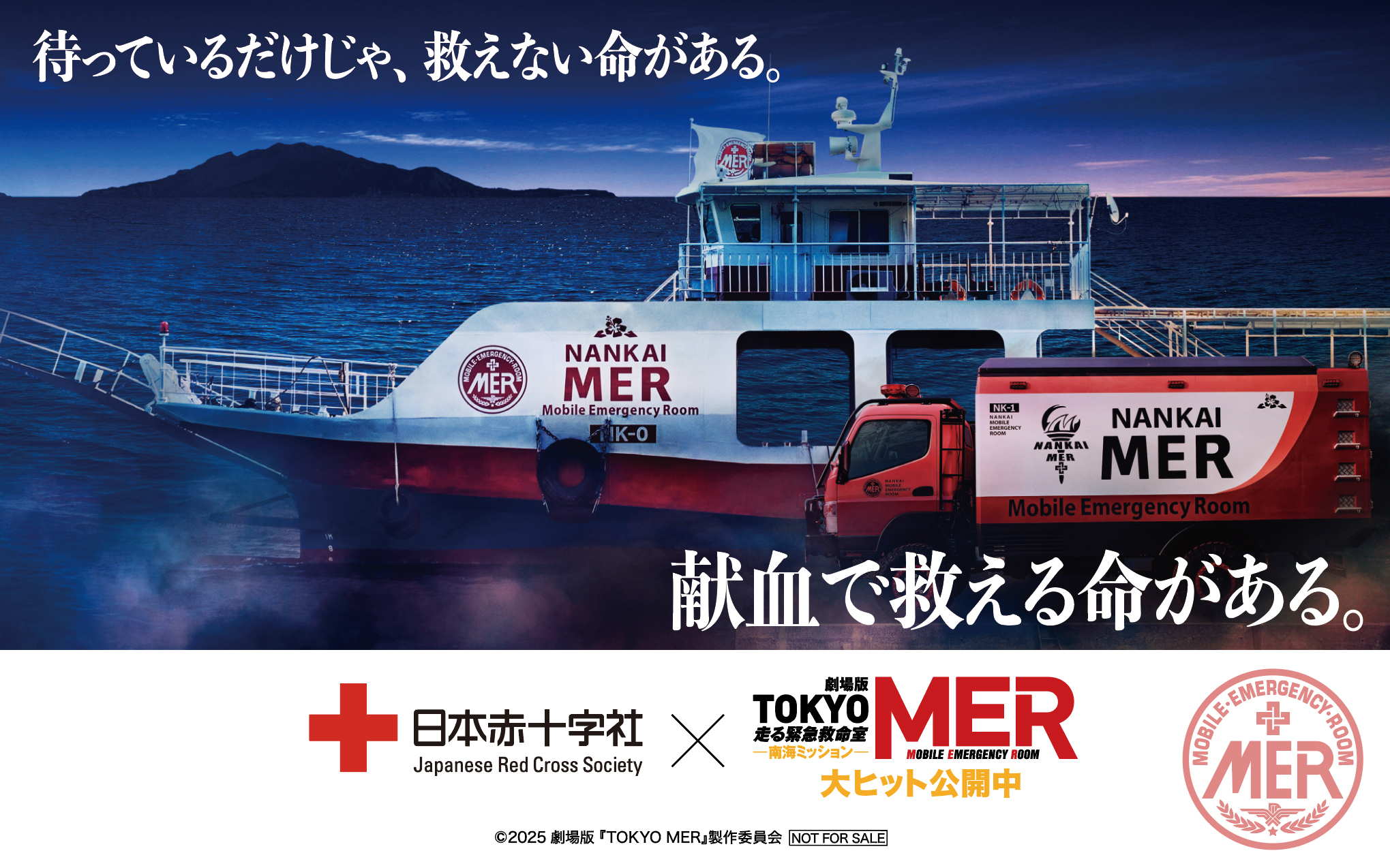 mer_s.jpg
