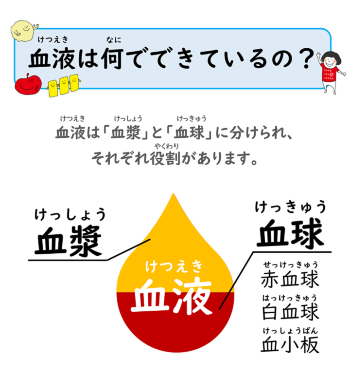 血液は何でできているの？血液は「血漿」と「血球」（赤血球、白血球、血小板）に分けられ、それぞれ役割があります。