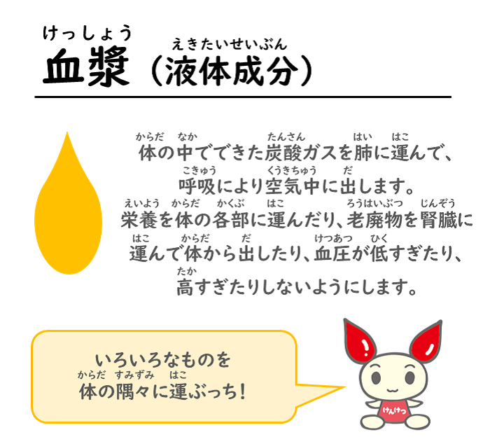 血漿（液体成分）は、体の中でできた炭酸ガスを肺に運んで、呼吸により空気中に出します。栄養を体の各部に運んだり、老廃物を腎臓に運んで体から出したり、血圧が低すぎたり、高すぎたりしないようにします。けんけつちゃん『いろいろなものを体の隅々に運ぶっち！』