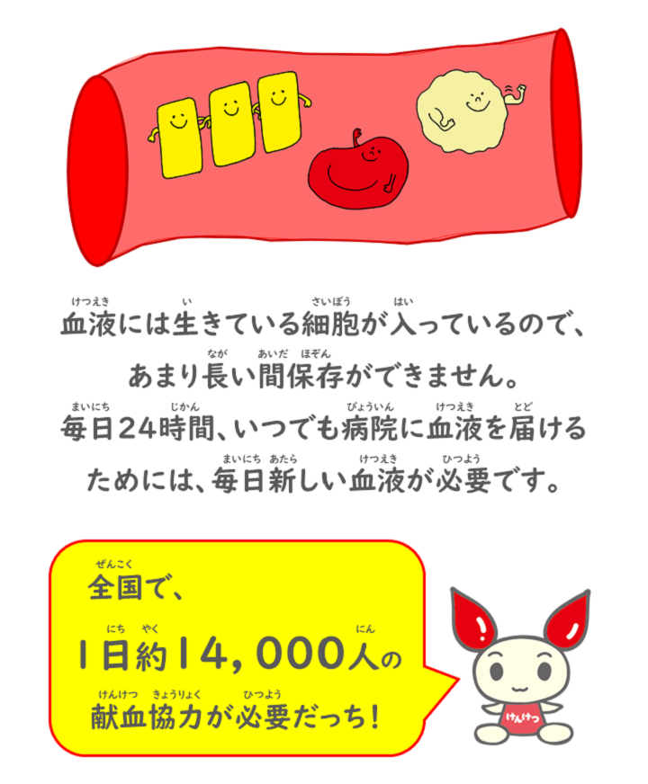 血液には生きている細胞が入っているので、あまり長い間保存ができません。毎日24時間、いつでも病院に血液を届けるためには、毎日新しい血液が必要です。けんけつちゃん『全国で、1日約14000人の献血協力が必要だっち！』