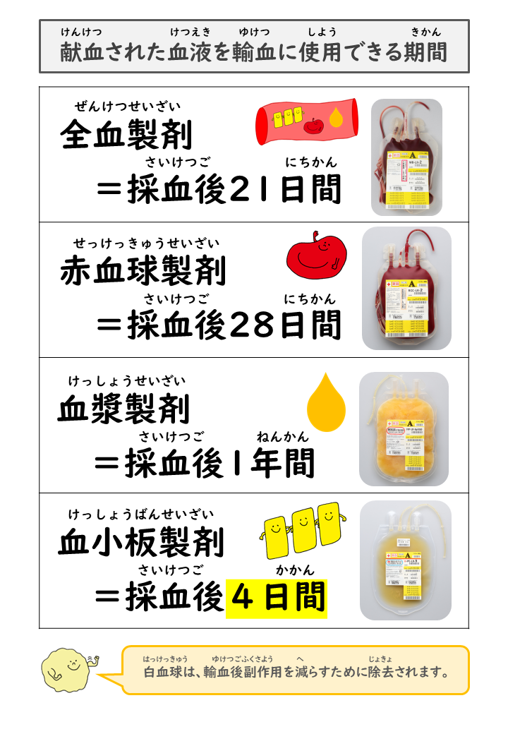 献血された血液を輸血に使用できる期間は、全血製剤=採血後21日間、赤血球製剤=採血後21日間、血漿製剤=採血後1年間、血小板製剤=採血後4日間。白血球は、輸血後副作用を減らすために除去されます。