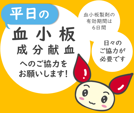 250805_1.png