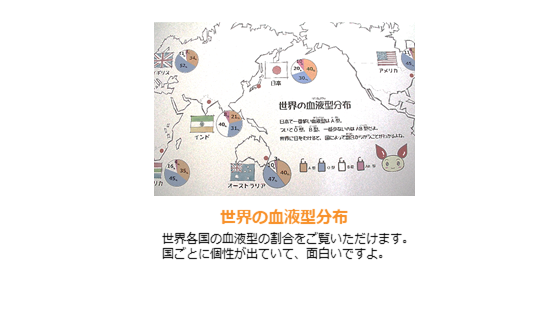 見学コースのご案内（世界の血液型分布）