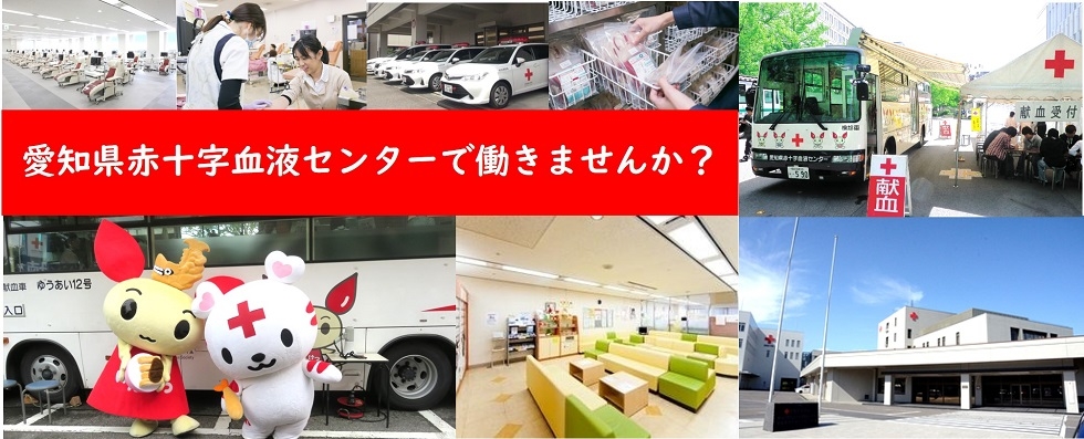 採用情報　愛知県赤十字血液センターで働きませんか？