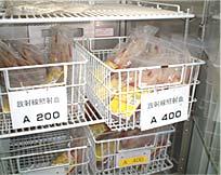 大切に適正に保管しています