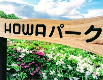 ツツジの写真２