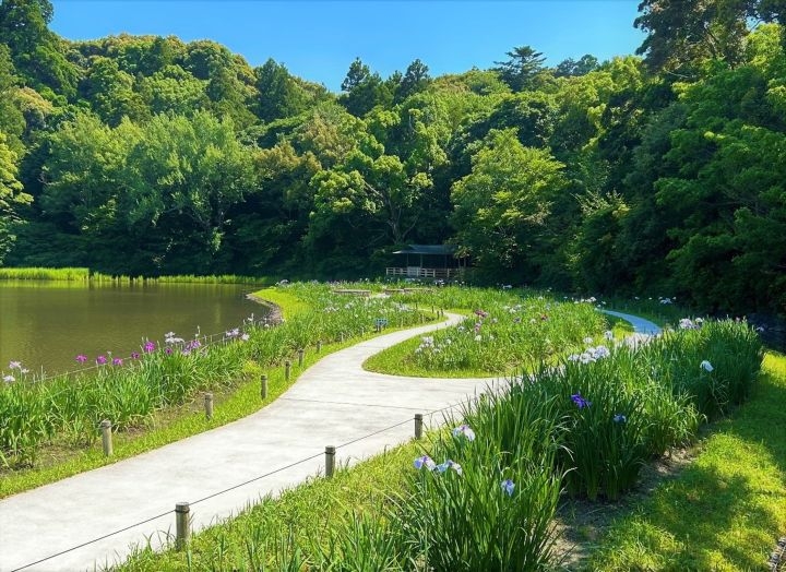 豊受大神宮（外宮）の勾玉池の画像